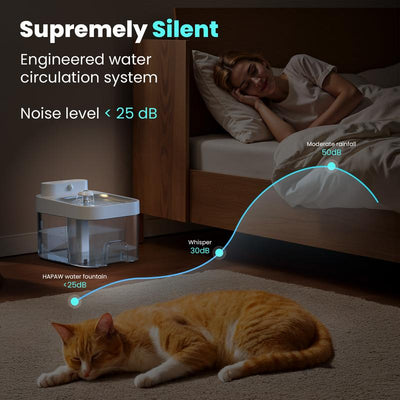 Cat Water Fountain