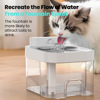 Cat Water Fountain